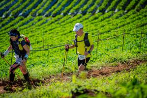 BIB: 
                            <button type="button" onclick="openModal(19161369)" class="btn btn-primary btn-sm float-right btn-popup" data-toggle="modal" data-target=".modal-high-quality">
                        <i class="fas fa-shopping-cart"></i> Add to Cart
                    </button>
                                            <button type="button" onclick="isThisMe(19161369, true)" class="btn btn-success btn-sm float-right btn-popup btn-isme hidden" data-toggle="tooltip" data-placement="bottom" title="นี่คือรูปของคุณใช่ไหม คลิกที่นี่เพื่อเอาเข้าอัลบั้ม">
                        <i class="fas fa-plus"></i> Add to album
                    </button>
                    <button type="button" onclick="isThisMe(19161369, false)" class="btn btn-warning btn-sm float-right btn-popup btn-isnotme hidden">
                        <i class="fas fa-ban"></i> Remove from album
                    </button>